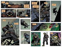 Teenage Mutant Ninja Turtles: The Last Ronin Collector's Set™